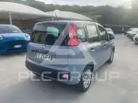 2019 Fiat Panda
