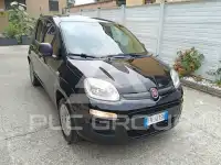 2019 Fiat Panda