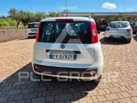 2019 Fiat Panda