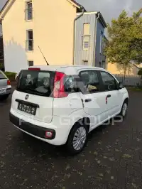 2019 Fiat Panda