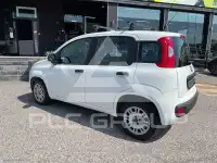 2019 Fiat Panda