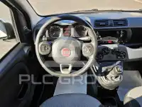2019 Fiat Panda