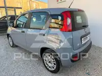 2019 Fiat Panda