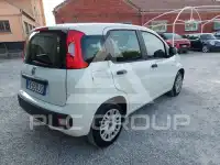 2019 Fiat Panda