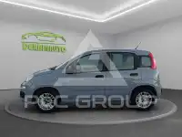 2019 Fiat Panda