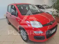 2019 Fiat Panda