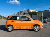 2019 Fiat Panda