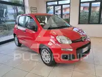 2019 Fiat Panda