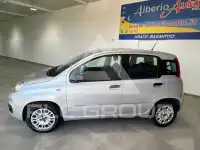 2019 Fiat Panda