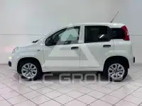 2019 Fiat Panda