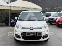 2019 Fiat Panda