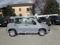 2019 Fiat Panda