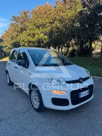 2019 Fiat Panda