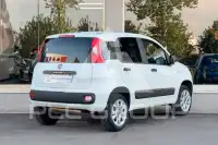 2019 Fiat Panda