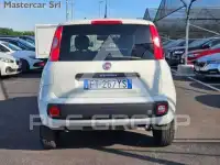 2019 Fiat Panda