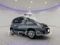 2019 Fiat Panda