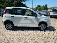 2019 Fiat Panda