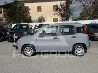 2019 Fiat Panda