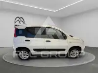2019 Fiat Panda