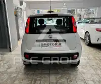 2019 Fiat Panda