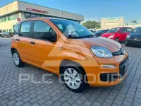 2019 Fiat Panda