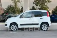 2019 Fiat Panda