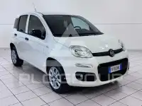 2019 Fiat Panda