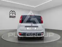 2019 Fiat Panda