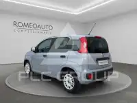 2019 Fiat Panda