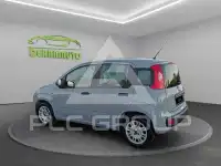 2019 Fiat Panda