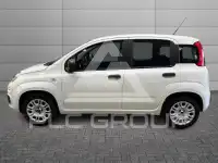 2019 Fiat Panda