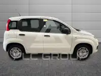 2019 Fiat Panda