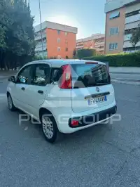 2019 Fiat Panda