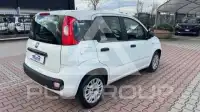2019 Fiat Panda