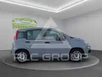2019 Fiat Panda