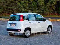 2019 Fiat Panda