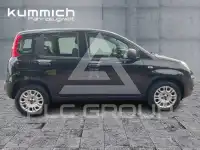 2019 Fiat Panda