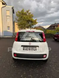 2019 Fiat Panda