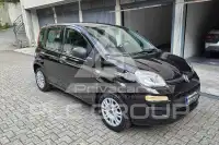 2019 Fiat Panda