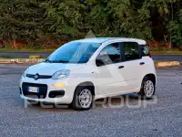 2019 Fiat Panda