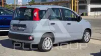 2019 Fiat Panda