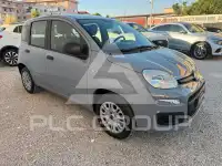 2019 Fiat Panda