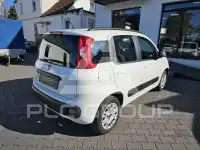 2019 Fiat Panda