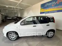 2019 Fiat Panda