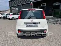 2019 Fiat Panda