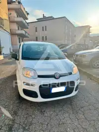 2019 Fiat Panda