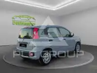 2019 Fiat Panda
