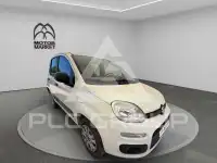 2019 Fiat Panda