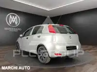 2019 Fiat Punto