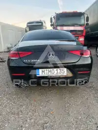 2019 Mercedes Benz CLS 300